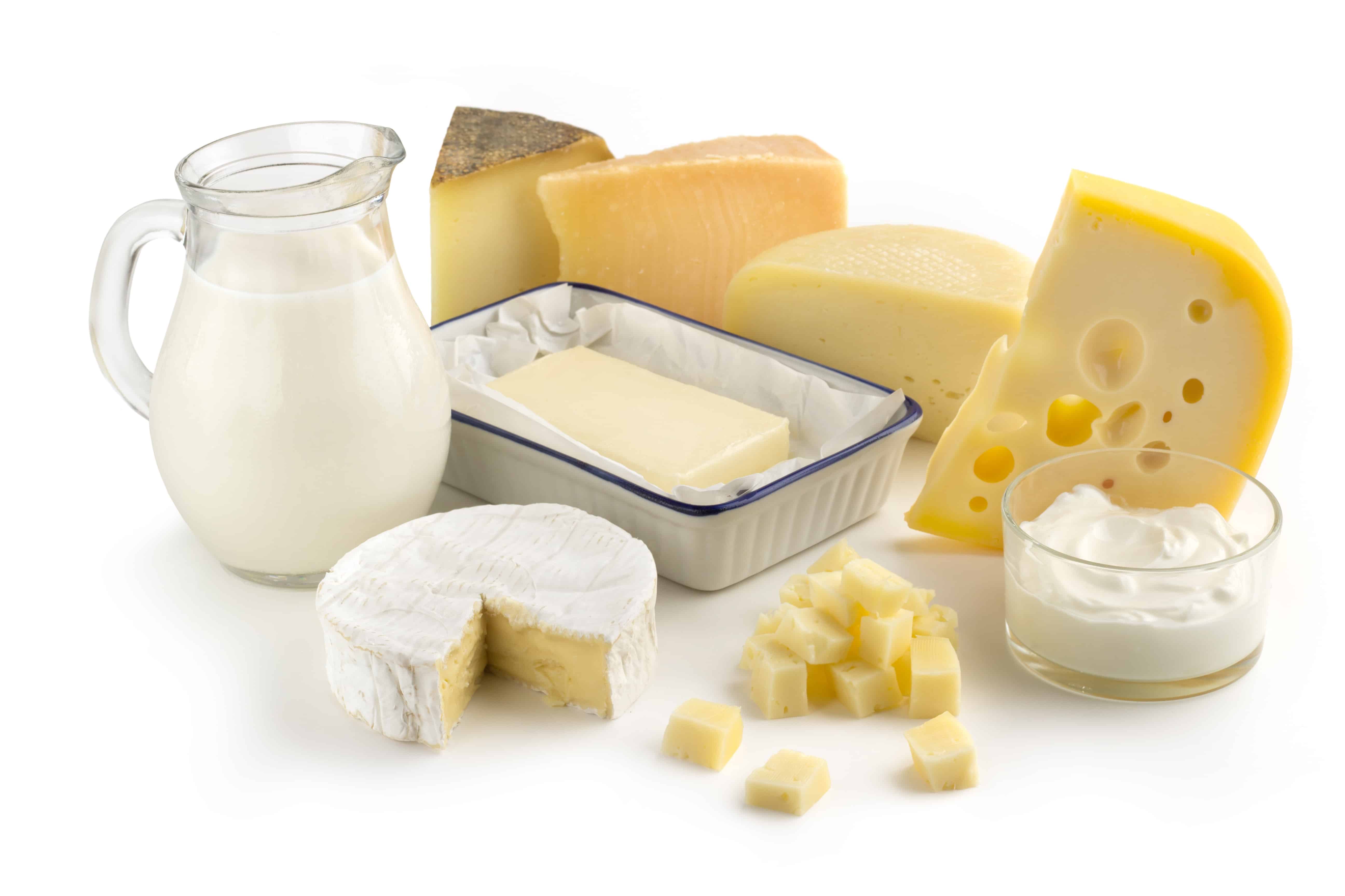Controlling the rheological behaviour of dairy food items to create consistent products – cheese, cream, ice-cream, milk, butter, yogurt