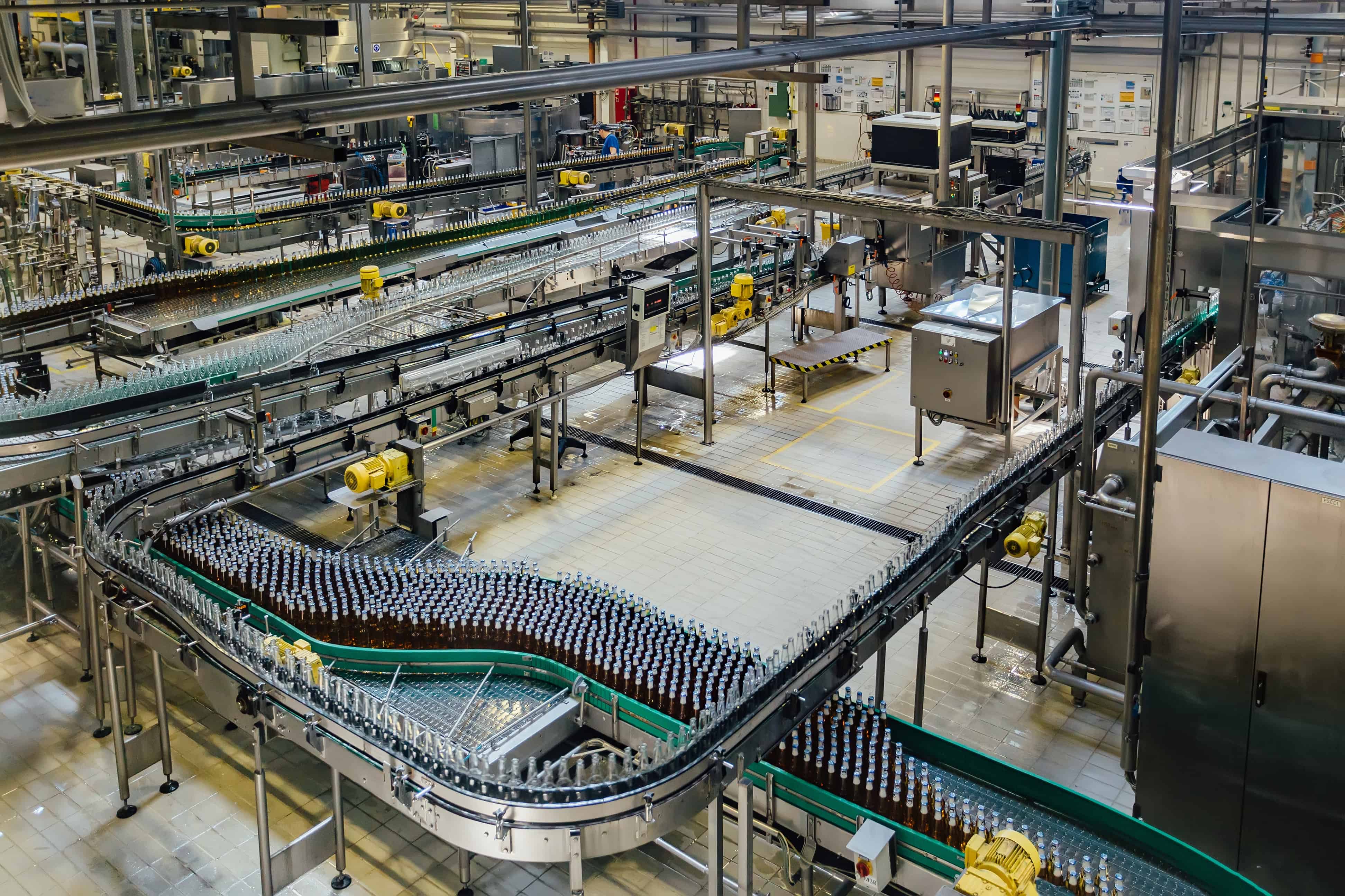 Modern automated beer bottling production line. Beer bottles moving on conveyor.