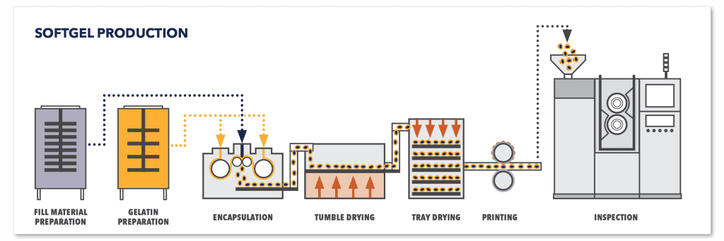 Figure 8 - Softgels manufacturing process diagram